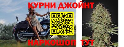 шишки Пушкино