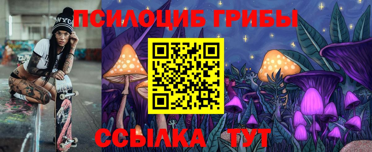 Галлюциногенные грибы Psilocybine cubensis Приморско-Ахтарск