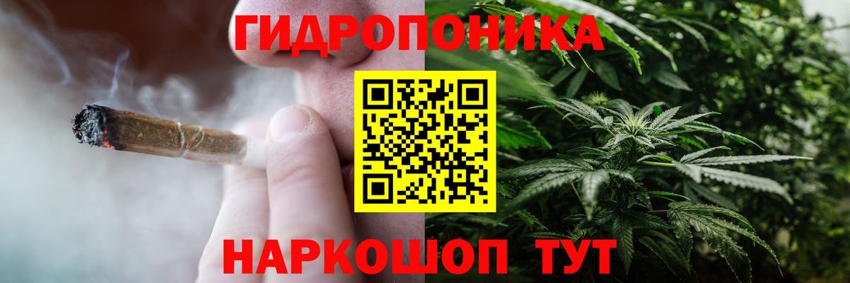 Конопля планчик Приморско-Ахтарск